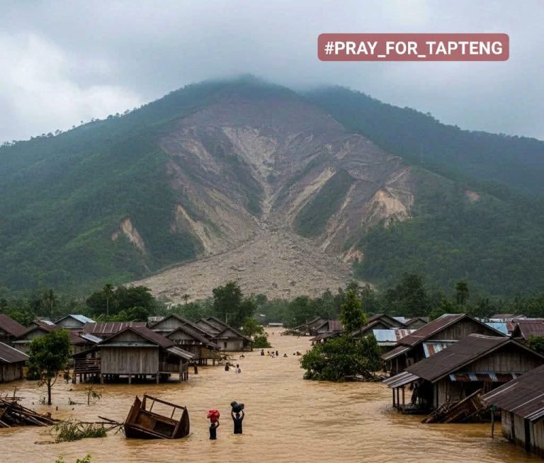 804bd729fb185f726ca9ef45ec36de04